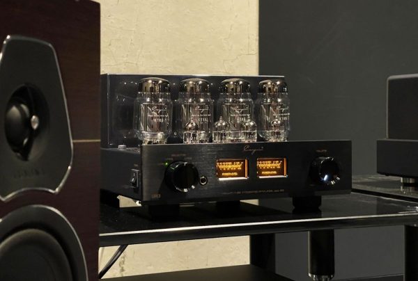 Cayin Jazz 80 Argent – Image 4
