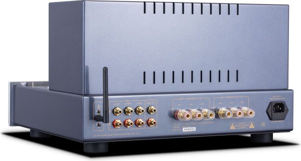 Cayin Jazz 100 Argent – Image 6