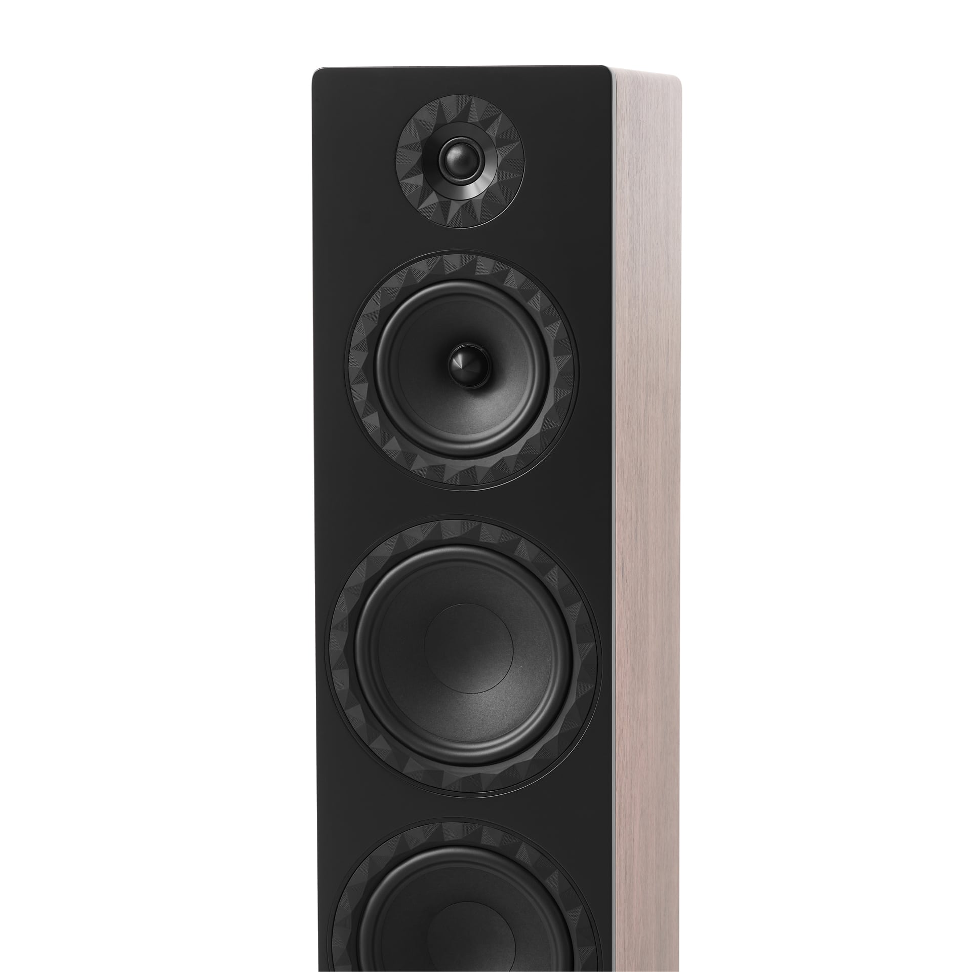 Elipson Prestige Facet II 24F Noyer – Image 2